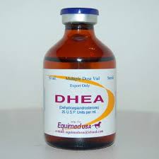 DHEA INJECTION