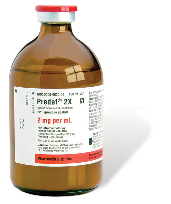 Predef 2X Sterile Aqueous Suspension for Animal Use
